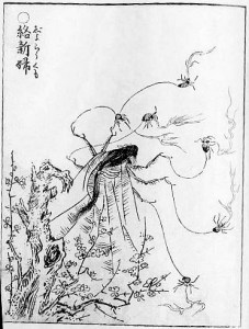 SekienJorogumo